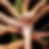 Several hands reaching into a circle and layered over top of one another. All skin tones are represented.