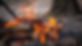 campfire-4786067_1920 cropped.jpg