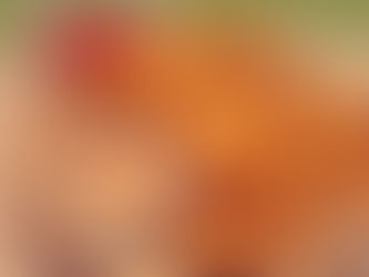 Try this! Alligator Fritters with Spicy Dipping Sauce