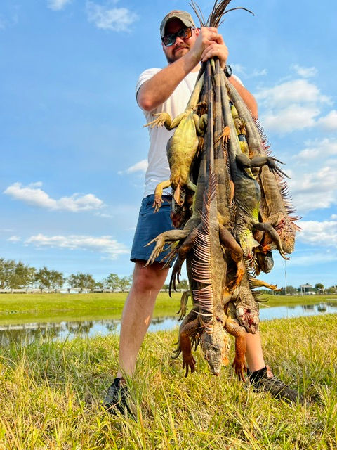 Man Iguana Hunting
