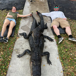 The Art of Alligator Taxidermy: A Trophy that Commands Attention