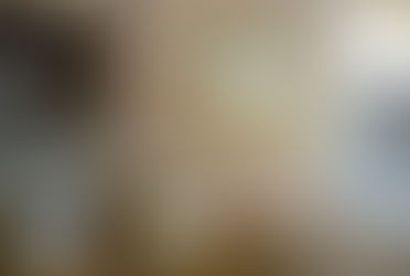 我社の推奨塗り壁!