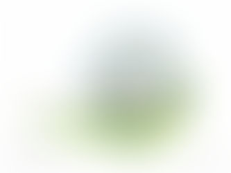 2015年度モニターさん施工開始・・・。