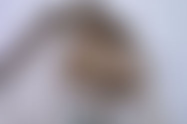 木製サンルームとデッキ・・・。