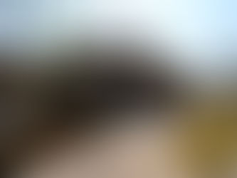 モデルハウス完成・・・。