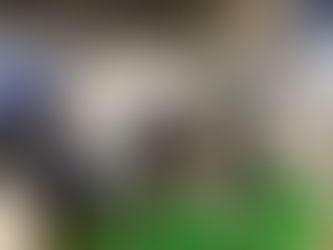 EZDOME HOUSE・・・。