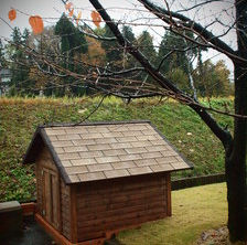 cabin!