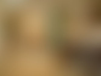 a lightにもこだってみませんか？