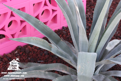 富山、小矢部事務所も・・・。