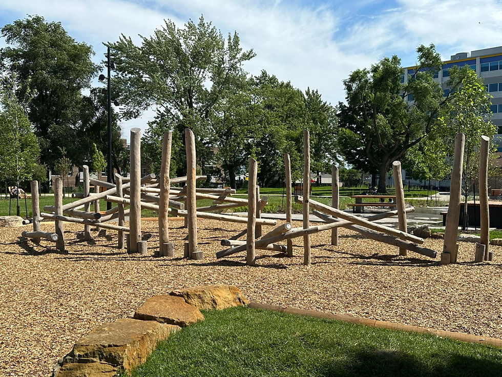 Grands Prix du Design 2024 - Parc Rosemont - Arrondissement Rosemont-Petite-Patrie, Projet Paysage avec Techsport