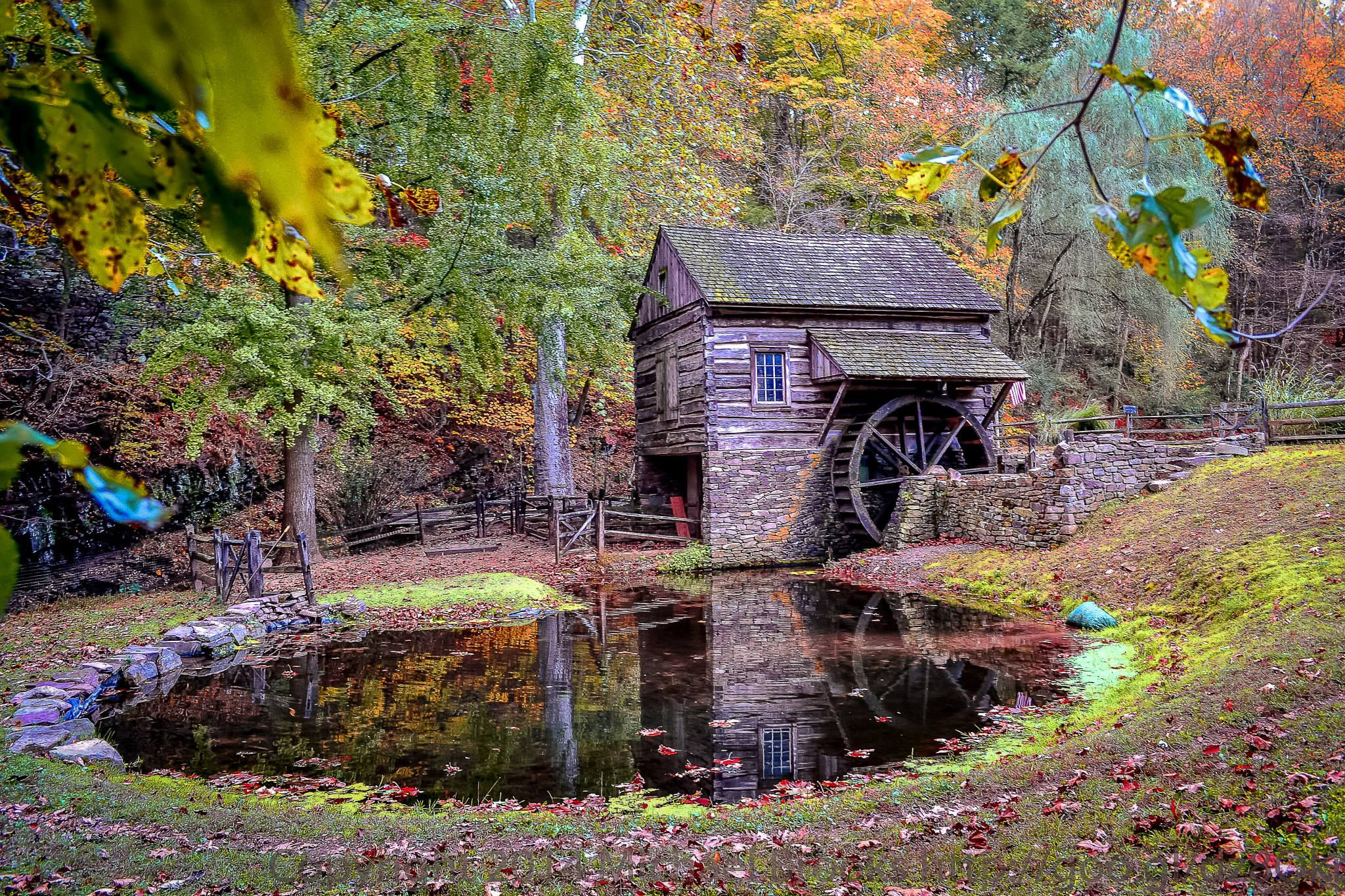 Cuttalossa Autum Reflection
