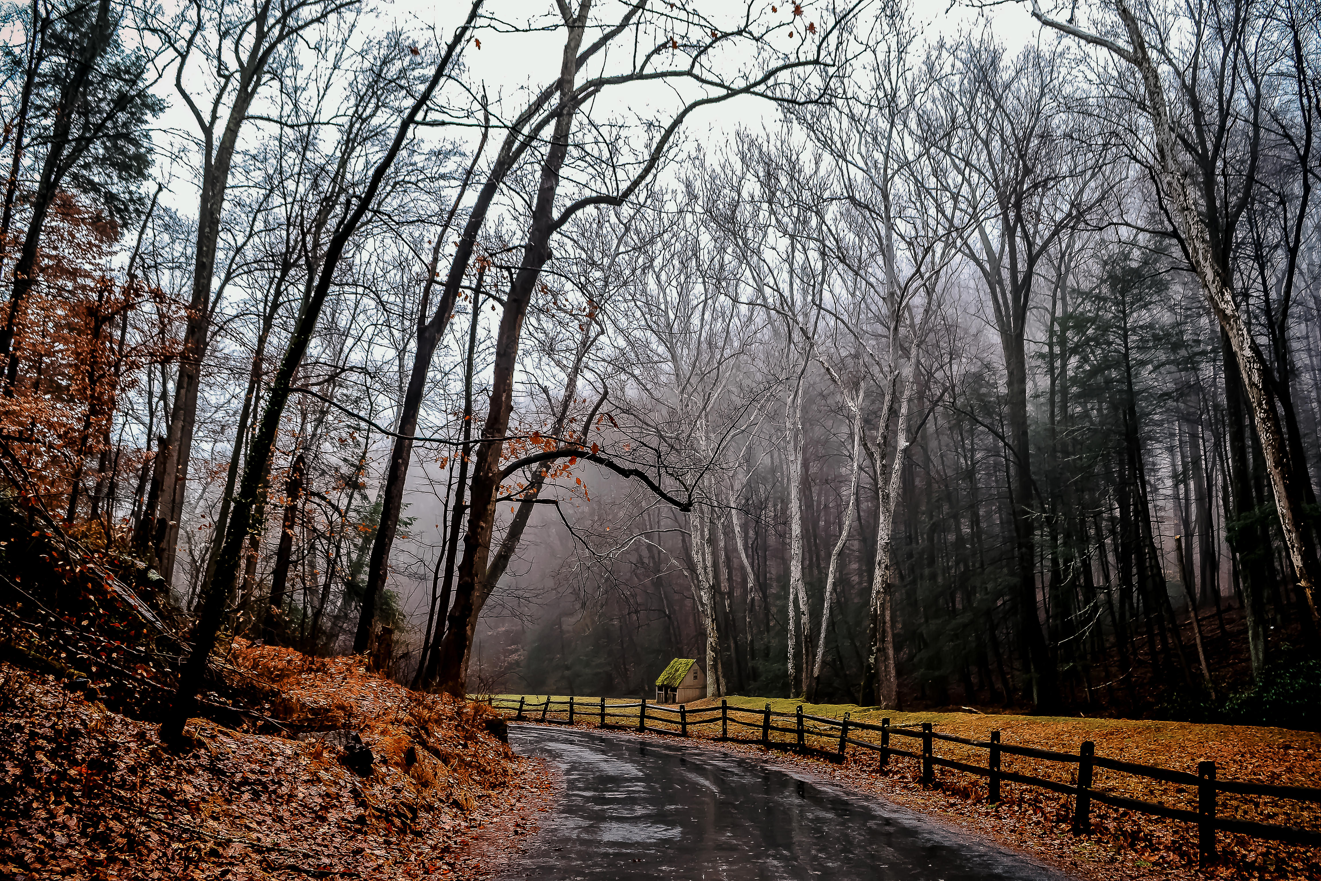 Cuttalossa Road (Red)