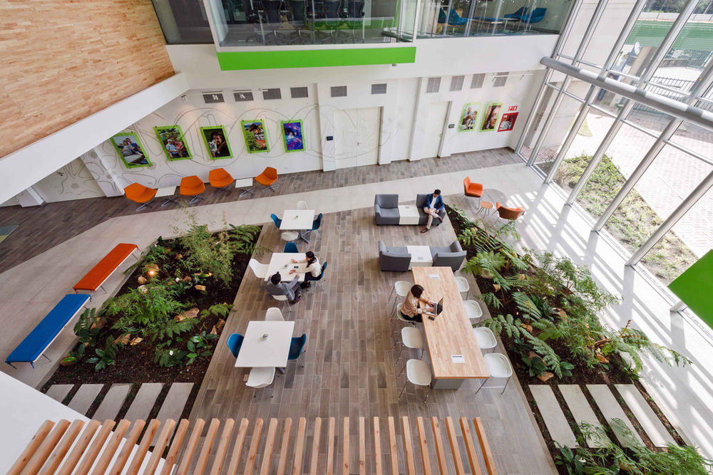 UNA NUEVA MANERA DE PENSAR LOS ESPACIOS DE OFICINA