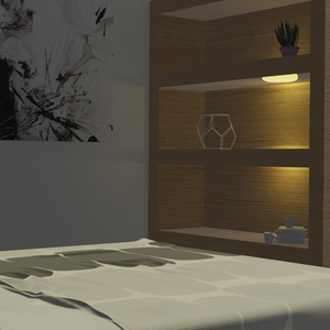 Container huis