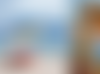 ¡Llega el verano! Regala historia, emoción y buen vino… ¡También en tu lugar de veraneo 24-48h!