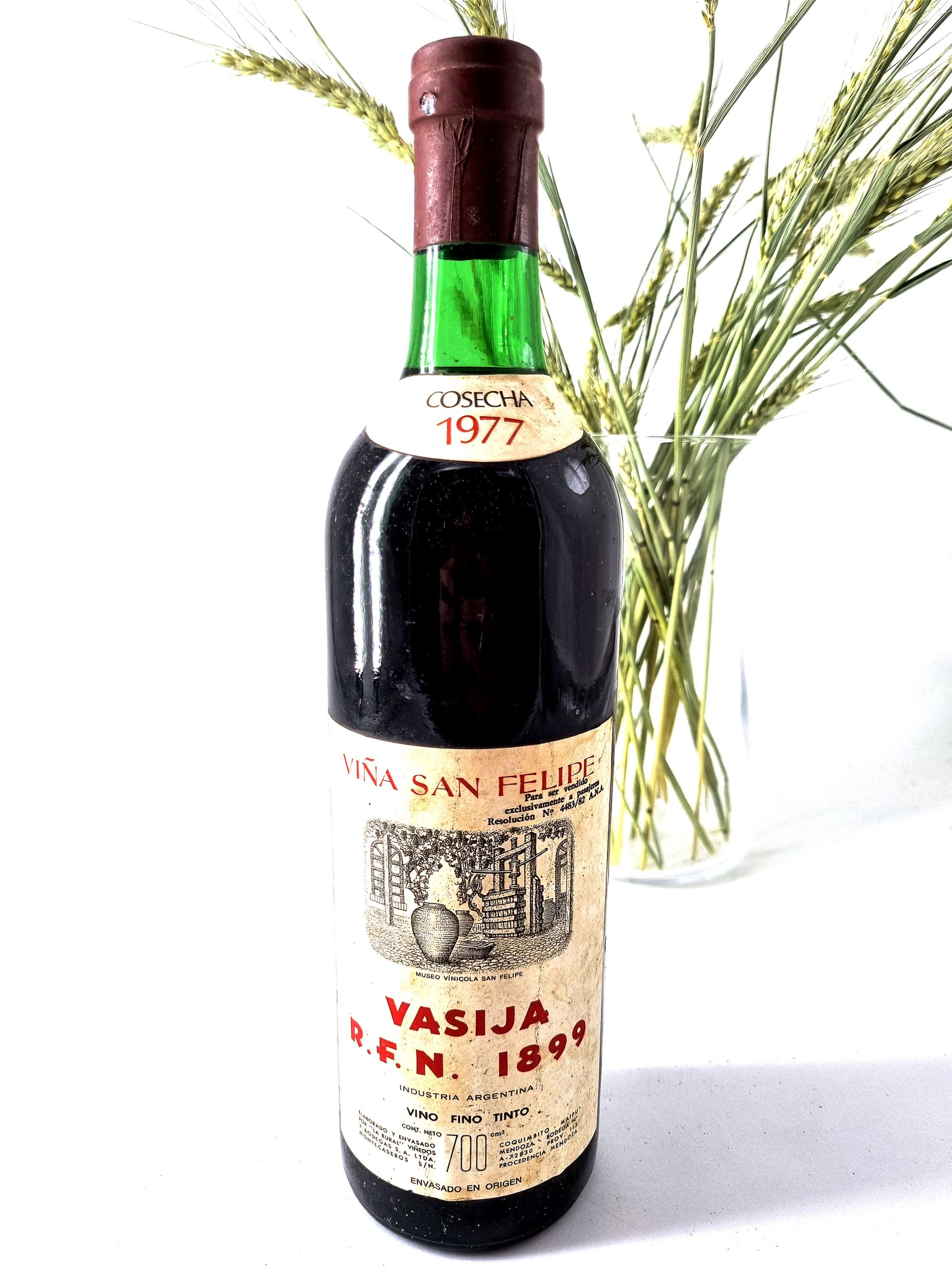 1977 | VASIJA. Viña San Felipe. Mendoza. Argentina