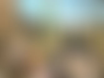 Vinos antiguos del año 1992