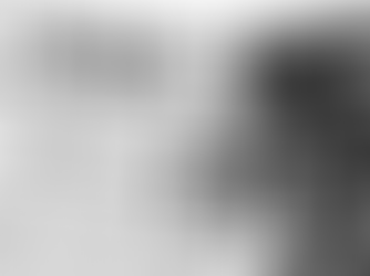 Periódicos y revistas españolas del año 1979