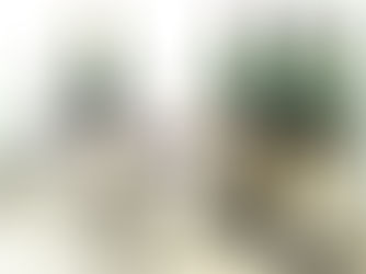 Vinos antiguos del año 1983