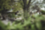 DSCF1165.jpg