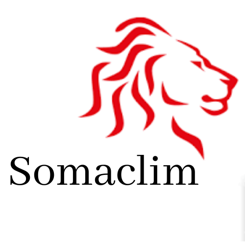 SOCIETE DE MAINTENANCE ET DE CLIMATISATION