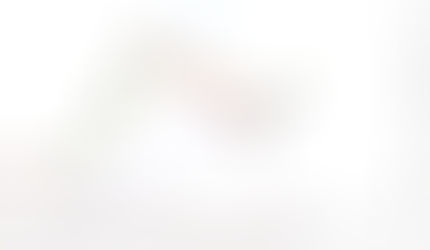 EUR/USD Tagesausblick 29.01.2026