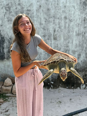 protecion-tortugas.jpg