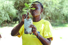 _Local woman showcasing a tree seedling (1).jpg