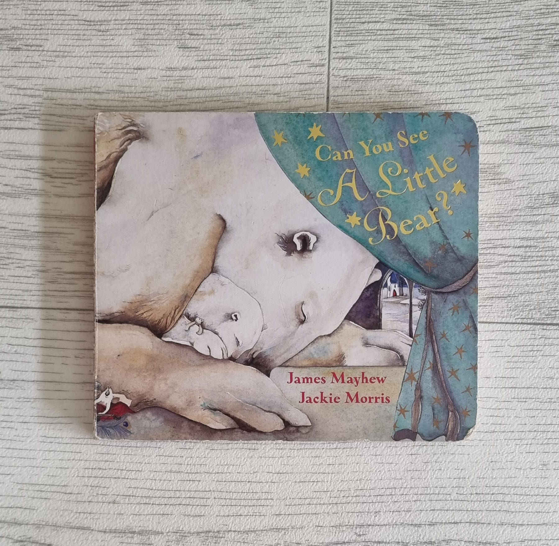 Can You See A Little Bear Hard Back Book