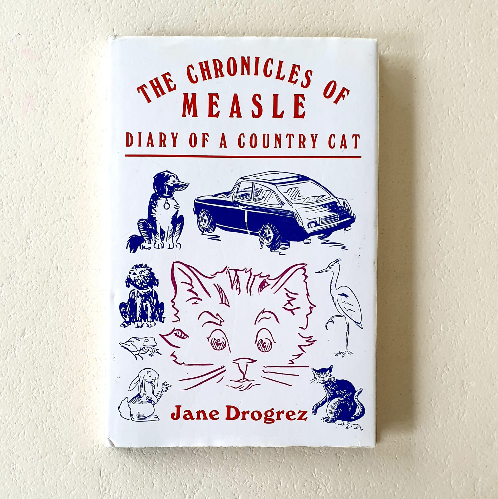 The Chronicles of Measle by Jane Drogrez