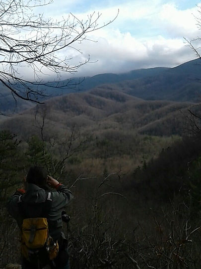 mountains.jpeg