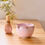 Thumbnail: Flowering Gum Matcha Whisking Bowl