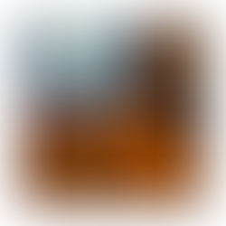 Ins and Outs for 2024