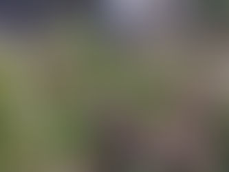 Cheryl's getting creative with community inclusion