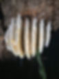 20250801_195335.jpg