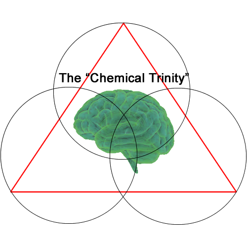 using your neurotransmitters to promote positive mental, emotional and physical well being