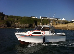 Esteou 630 Jeanneau - cabine.jpeg