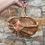 Thumbnail: Striped Gypsy style foraging basket