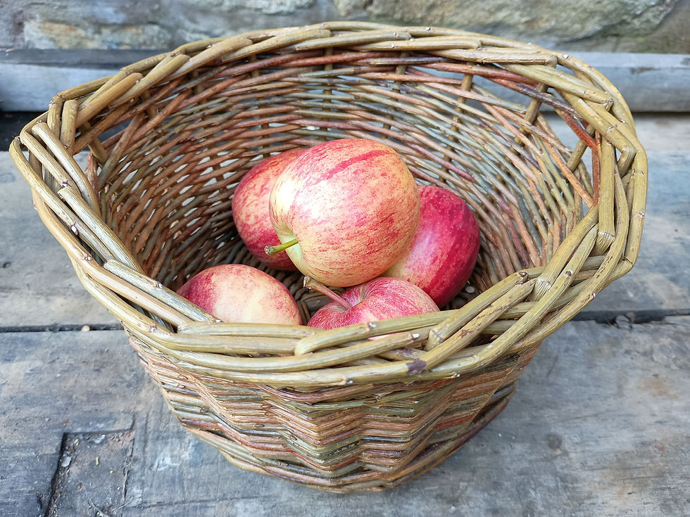 Thumbnail: Small round storage basket/ fruit bowl