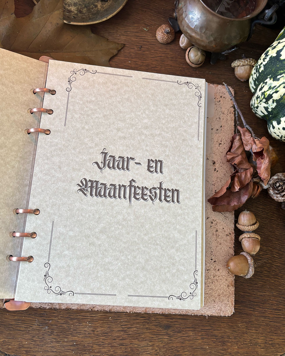 Thumbnail: Start set Book of Shadows of Grimoire