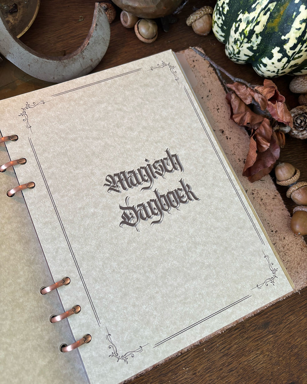 Thumbnail: Start set Book of Shadows of Grimoire