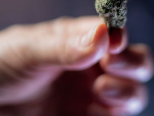 Fleurs de CBD en France en 2026 : le point sur ce qui reste légal
