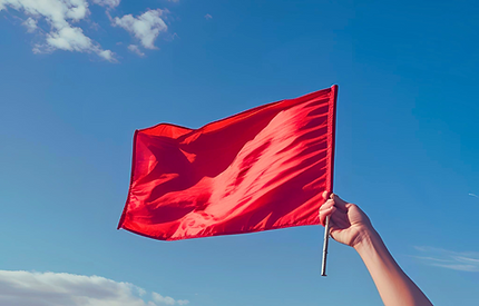 Capture the Flag.png