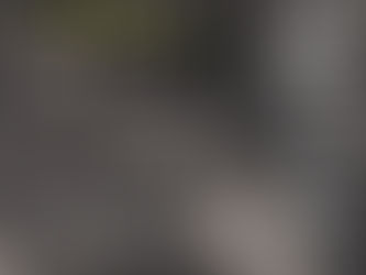 『ナチズムは再来するのか？民主主義をめぐるヴァイマル共和国の教訓』