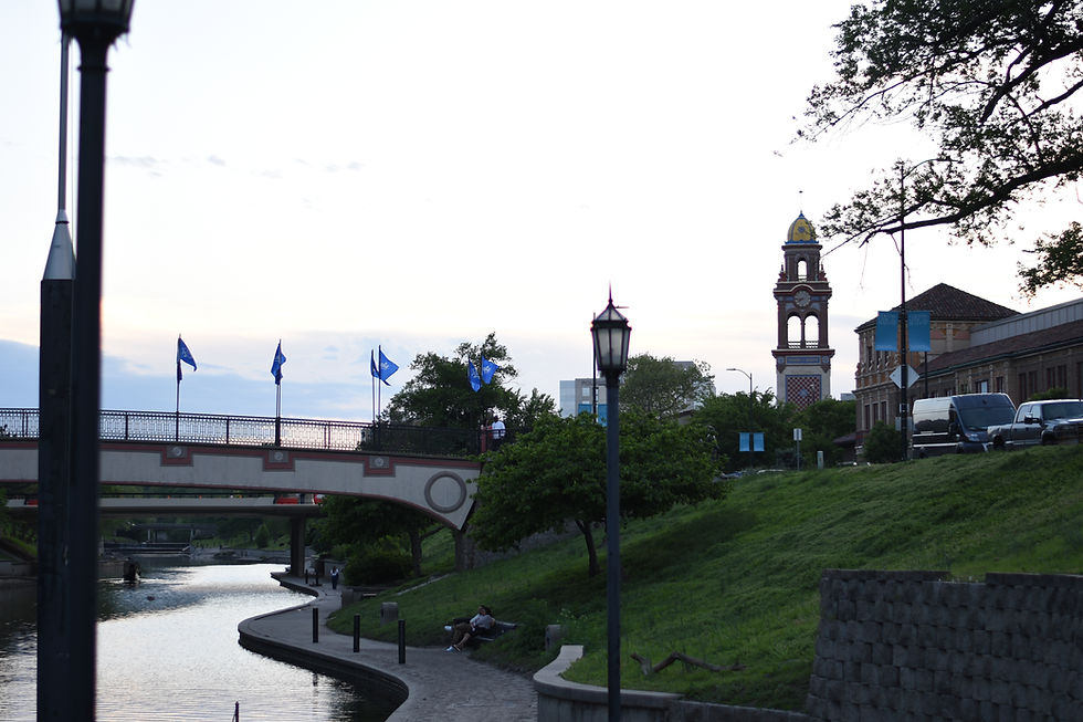 DCL_8290