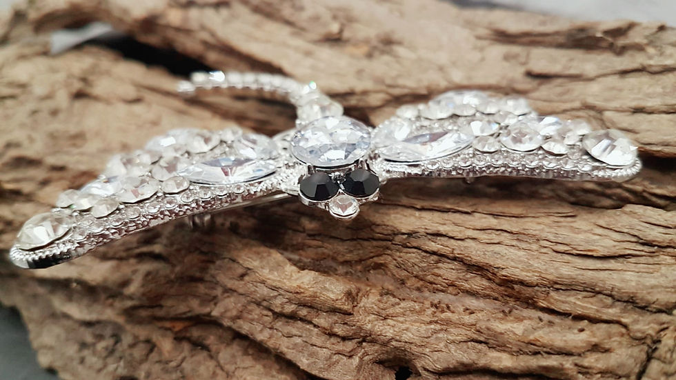 Thumbnail: Silver Dragonfly