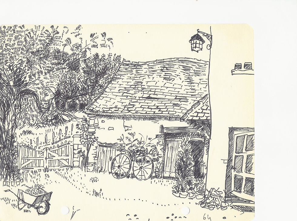 Paysage 6
