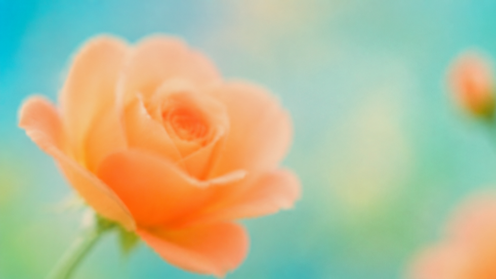 Website (21).png