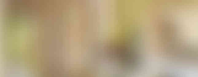 Casa Entrecopas de Marina Vella Arquitectura en Lima, Peru