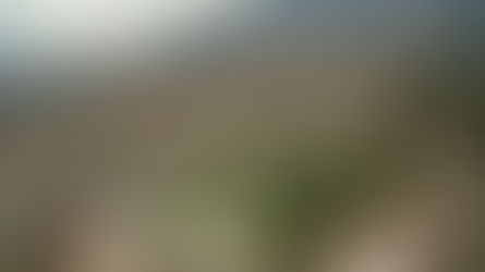 Recomponer la ausencia de un parque | Parque Prado Centro Medellin, Colombia